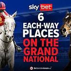 sky bet grand national